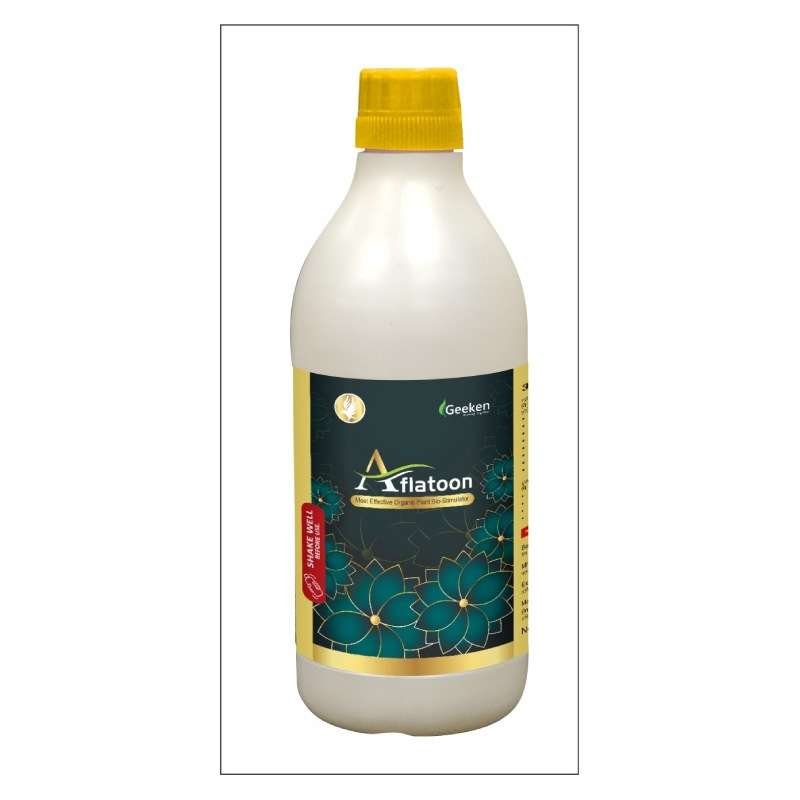 Aflatoon