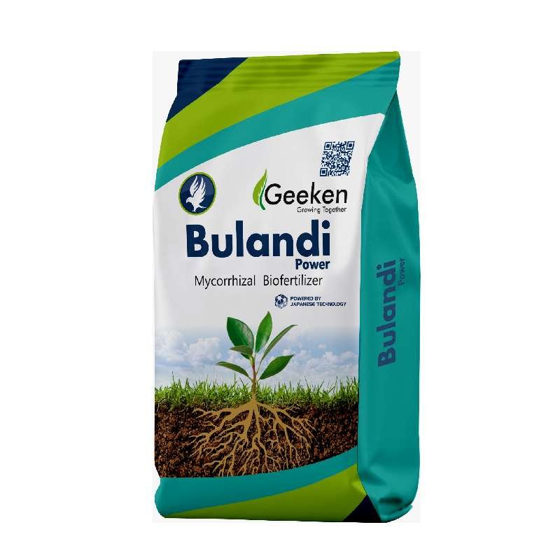 Bulandi