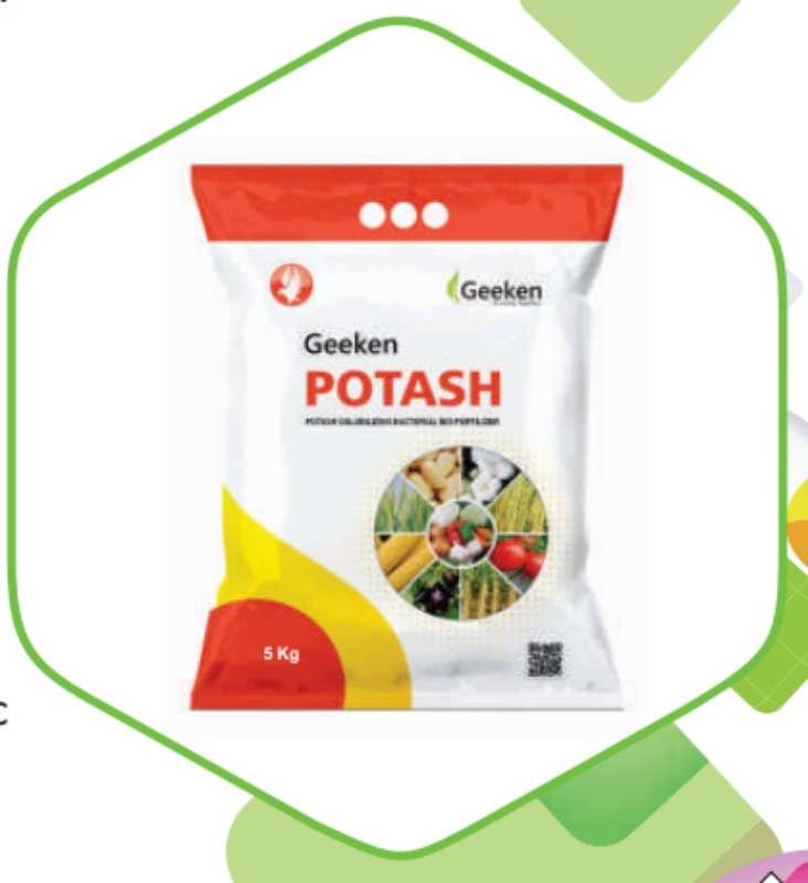 Geeken Potash