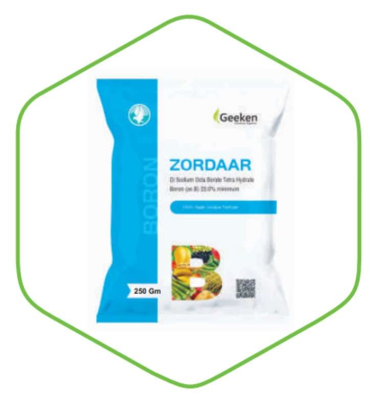 Zordaar