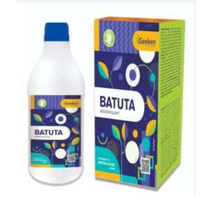 Batuta