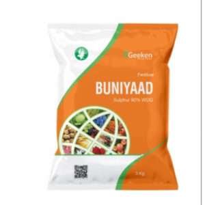 Buniyaad