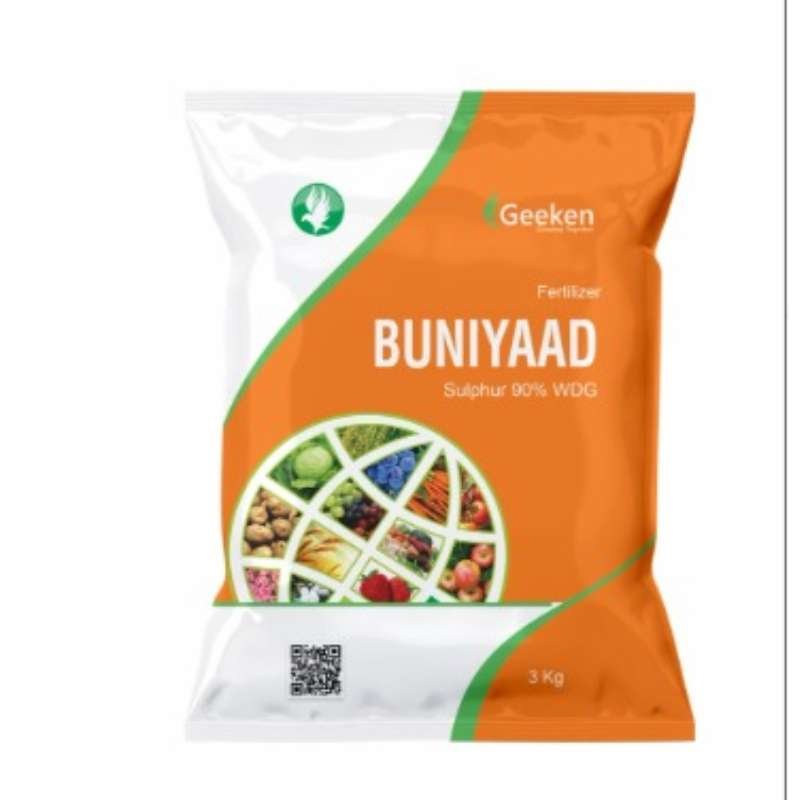 Buniyaad