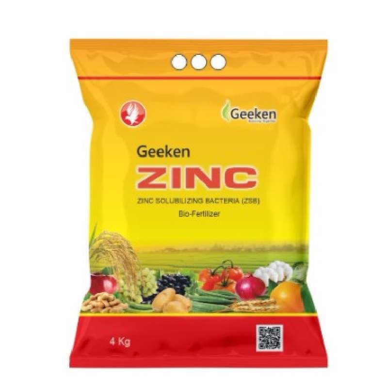 Geeken Zinc